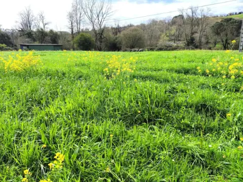 Terreno en Lloreda