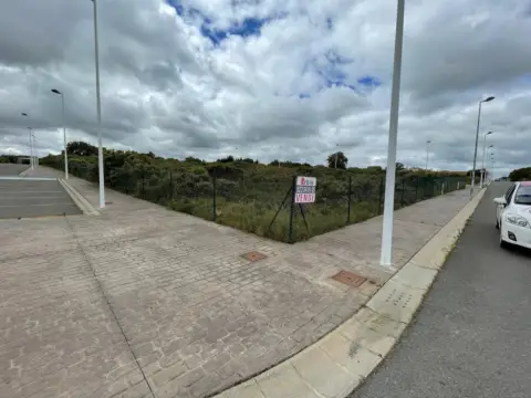 Terreno en Buenavista