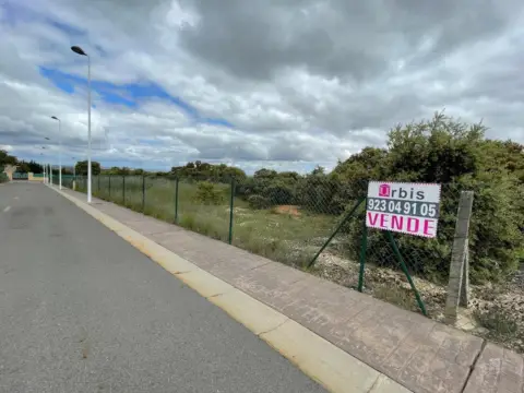 Terreno en Buenavista