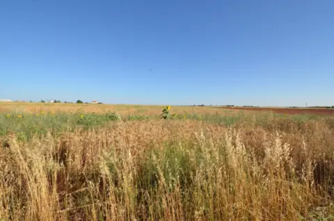 Terreno en Castellanos de Villiquera