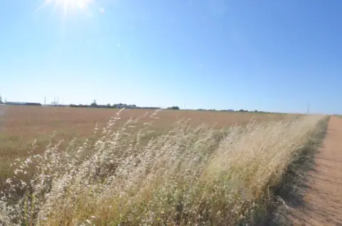 Terreno en Castellanos de Villiquera