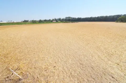 Terreno en Santibañez