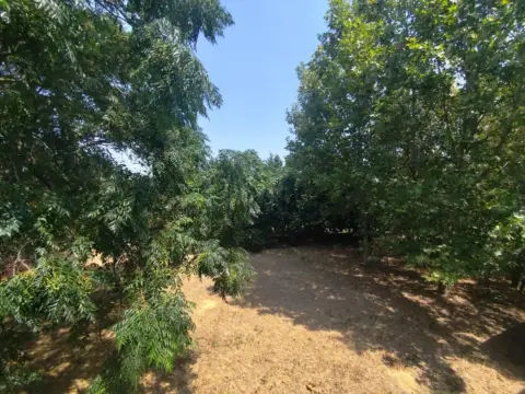 Finca rústica en Sin Zona