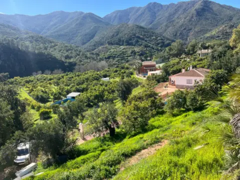 Finca rústica en calle Polígono 15 Paraje 164 Fuente, nº 51