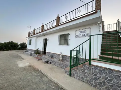 Finca rústica en Urbanización de El Sexmo