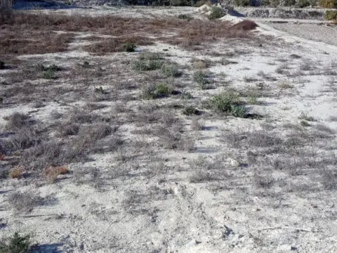 Terreno en Alguazas