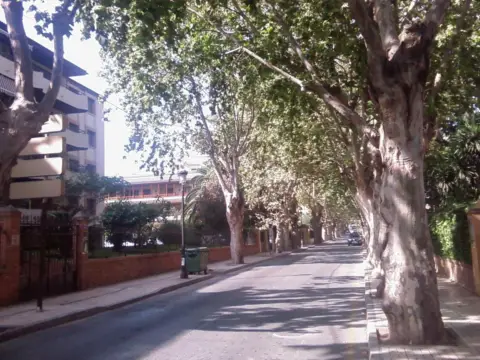 Piso en Limonar