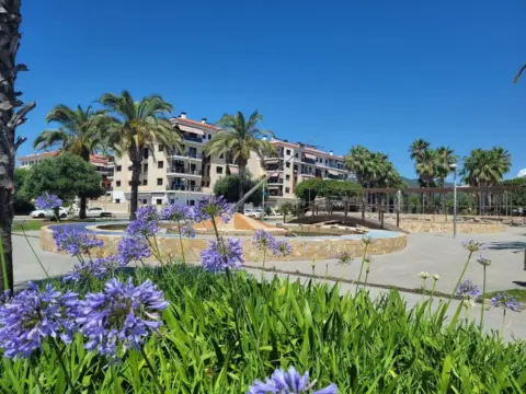 Piso en calle Carrer Josep Misser I Banchis