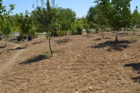 Chalet en Camino del Alamo