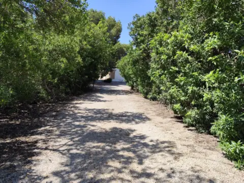Finca rústica en calle del Herrero