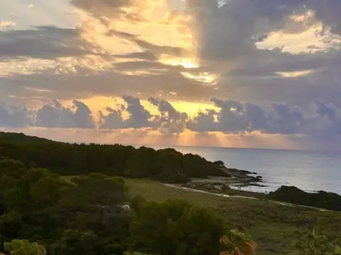 Piso en Avenida de Ses Palmeres, nº 37