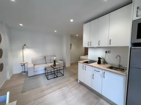 Estudio en Avenida de Ricardo Soriano