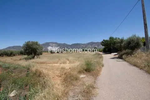 Terreno en calle Xcv6+H86 Cozvijar