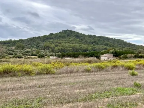 Rural Property in Afueras del Pueblo