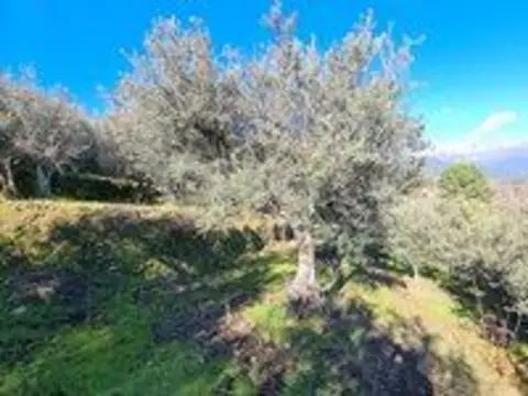 Terreno en Carretera de Guisando, 5