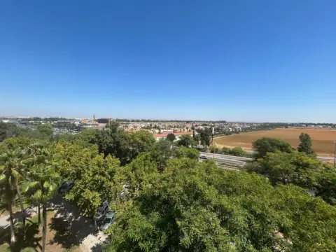 Piso en Montequinto