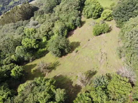 Casa en calle Polígono 147 Parcela 113 Levayos. Grado (Asturias, nº 147