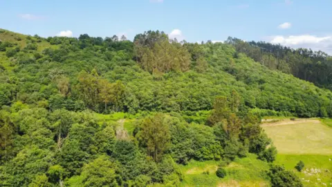 Terreno en Carretera de Las Cuestas a Sama de Grado