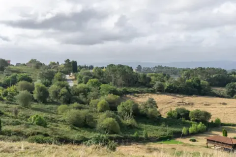 Terreno en calle El Campon