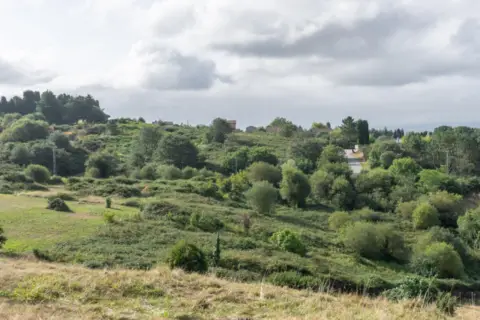 Terreno en calle El Campon