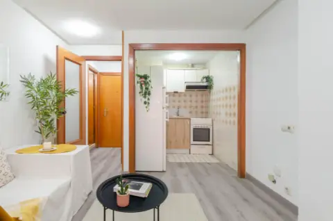 Piso en calle del General Elorza, 77