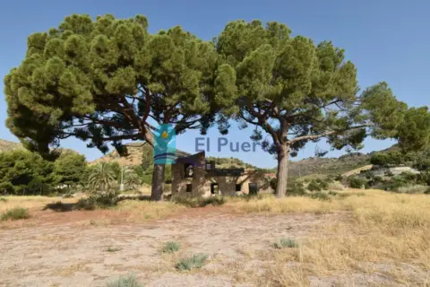 Finca rústica en Totana