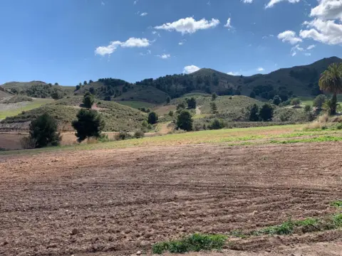 Casa en La Hoya-Almendricos-Purias
