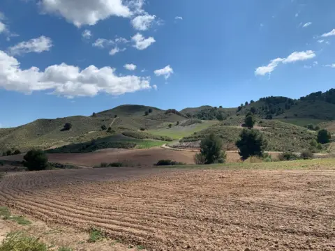 Casa en La Hoya-Almendricos-Purias