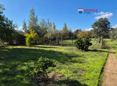 Finca rústica en Avda. Elvas