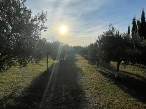 Finca rústica en Rural