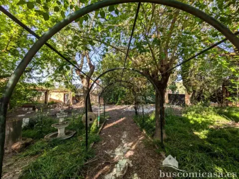 Finca rústica en Carretera de Jabalquinto