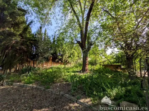 Finca rústica en Carretera de Jabalquinto