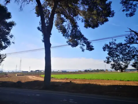 Terreno en Albujon