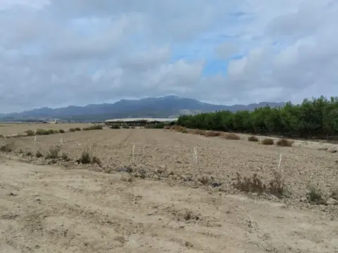 Finca rústica en Lebor