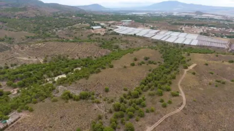 Terreno en La Charca