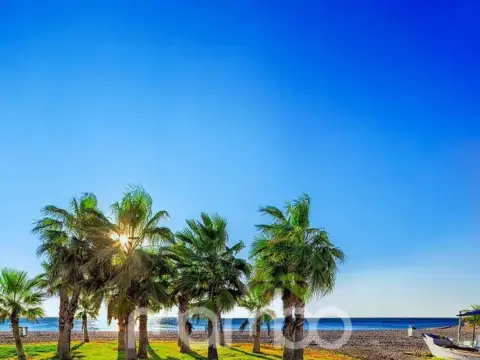 Piso en Avenida de Antonio Tore Tore