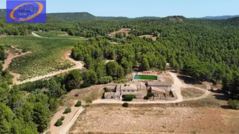 Terreno en Cofrentes