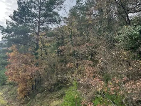 Terreno en calle Barrio de Aprikano