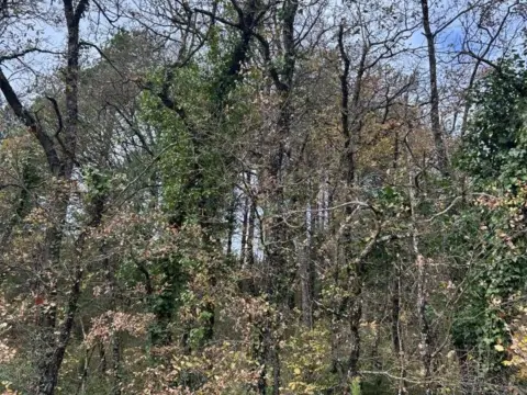 Terreno en calle Barrio de Aprikano