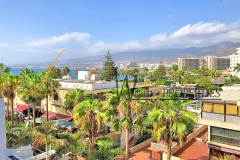 Dúplex en Avenida de Rafael Puig Lluvina