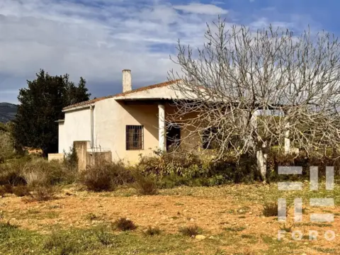 Terreno en Polígono 21