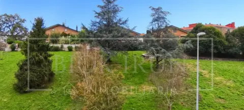 Piso en calle de Telesforo Aranzadi