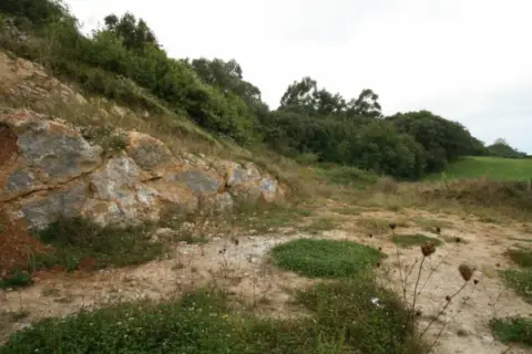 Terreno en calle Concha