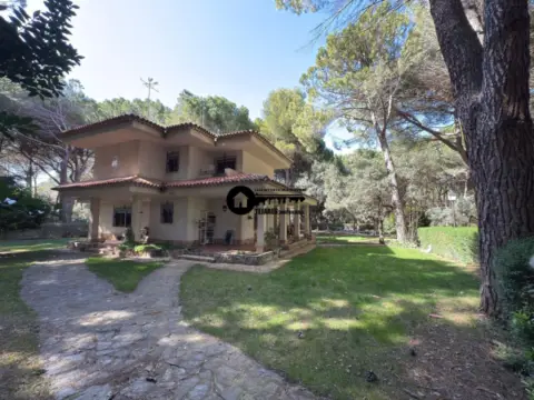 Chalet en Los Llanos