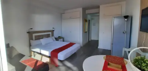 Estudio en calle de la Paloma