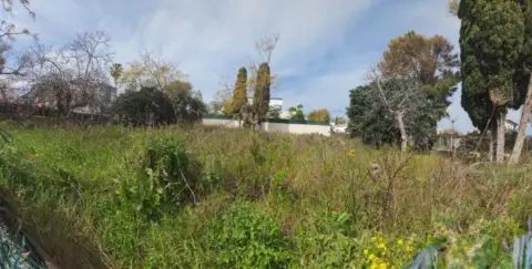 Terreno en Avenida de la Constitución