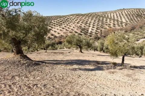 Terreno en calle Poligono 2 Parcela 276 y 409