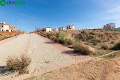 Terreno en calle Jacaranda