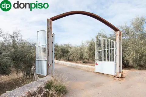 Finca rústica en calle Cortijo La Barragana