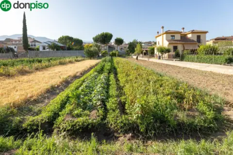Terreno en calle de Vicente Aleixandre